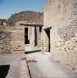 Maison de l